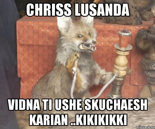 Chriss Lusanda VIDNA TI USHE SKUCHAESH KARIAN ..kikikikki, Мем Упоротый лис курит кальян