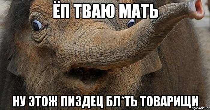 Ёп тваю мать Ну этож пиздец бл*ть товарищи