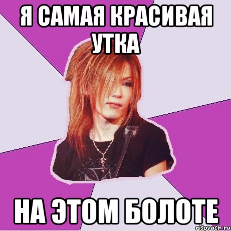 Я самая красивая утка на этом болоте