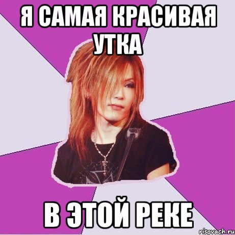 Я самая красивая утка в этой реке