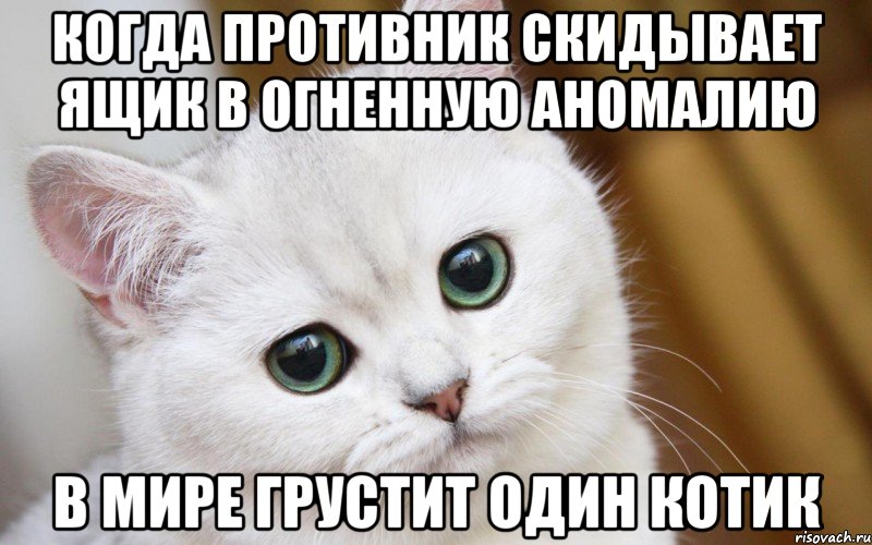 Когда противник скидывает ящик в огненную аномалию в мире грустит один котик, Мем  В мире грустит один котик