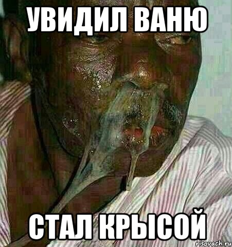 увидил ваню стал крысой