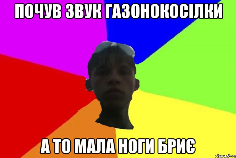 почув звук газонокосілки а то мала ноги бриє