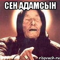 СЕН АДАМСЫН , Мем Ванга (цвет)