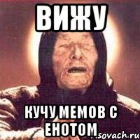 ВИЖУ КУЧУ МЕМОВ С ЕНОТОМ, Мем Ванга (цвет)