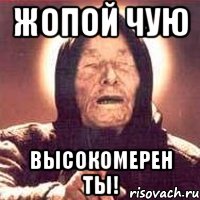 Жопой чую высокомерен ты!, Мем Ванга (цвет)