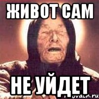 Живот сам Не уйдет, Мем Ванга (цвет)