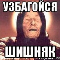 Узбагойся Шишняк