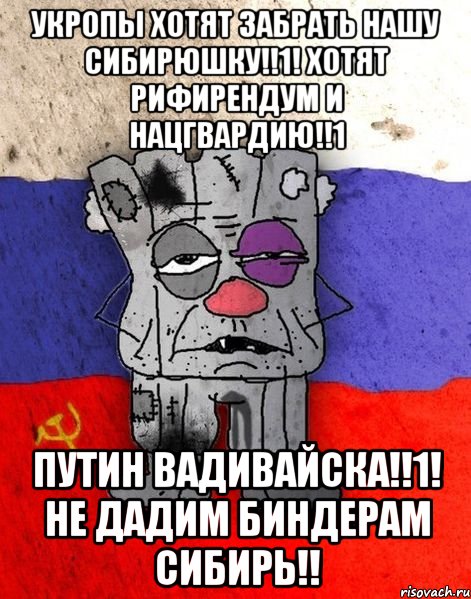 укропы хотят забрать нашу сибирюшку!!1! хотят рифирендум и нацгвардию!!1 путин вадивайска!!1! не дадим биндерам сибирь!!, Мем Ватник