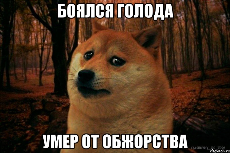 боялся голода умер от обжорства, Мем SAD DOGE