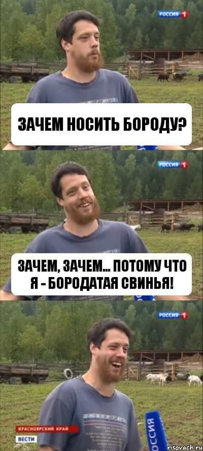 Зачем носить бороду? Зачем, зачем... Потому что я - бородатая свинья!