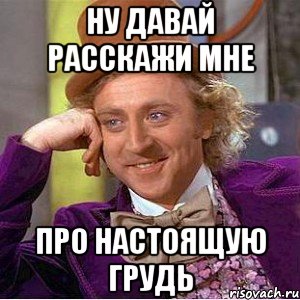 Ну давай расскажи мне Про настоящую грудь, Мем Ну давай расскажи (Вилли Вонка)