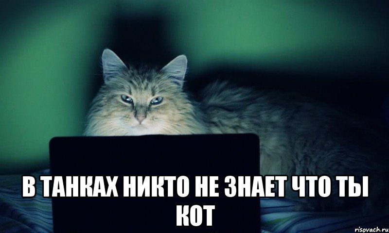 В танках никто не знает что ты кот, Мем vkcomsnegiryata