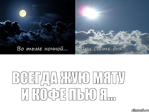 Всегда жую мяту и кофе пью я...