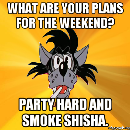 What are your plans for the weekend? Party hard and smoke shisha., Мем Волк