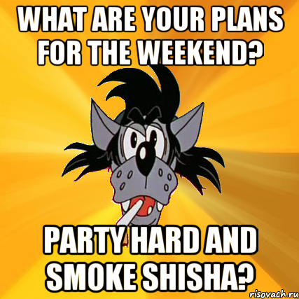 What are your plans for the weekend? Party hard and smoke shisha?, Мем Волк