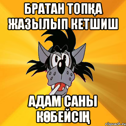 Братан топқа жазылып кетшиш Адам саны көбейсің, Мем Волк