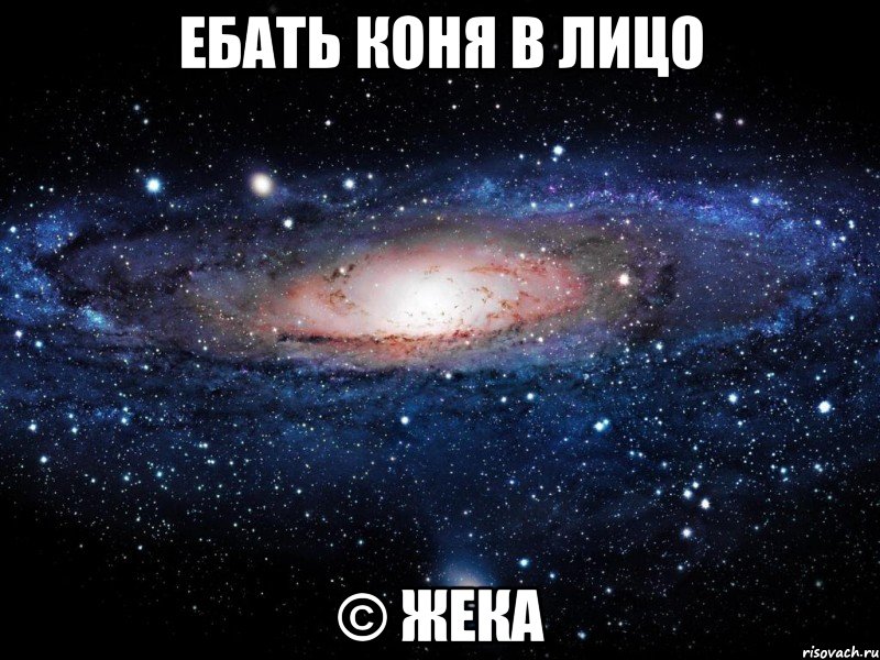 ебать коня в лицо © Жека, Мем Вселенная