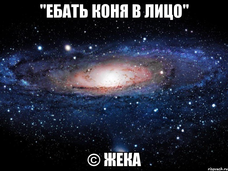 "ебать коня в лицо" © Жека, Мем Вселенная