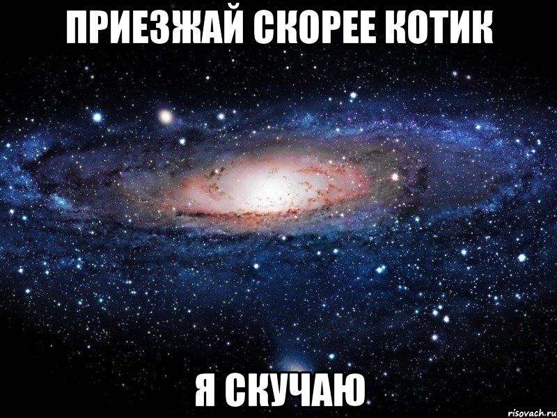 Приезжай скорее котик я скучаю, Мем Вселенная