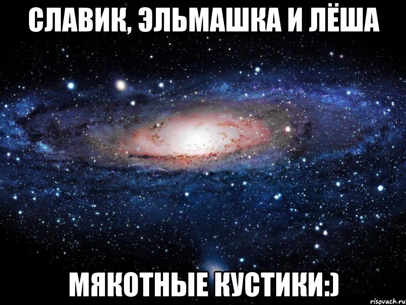 Славик, Эльмашка и Лёша Мякотные кустики:), Мем Вселенная