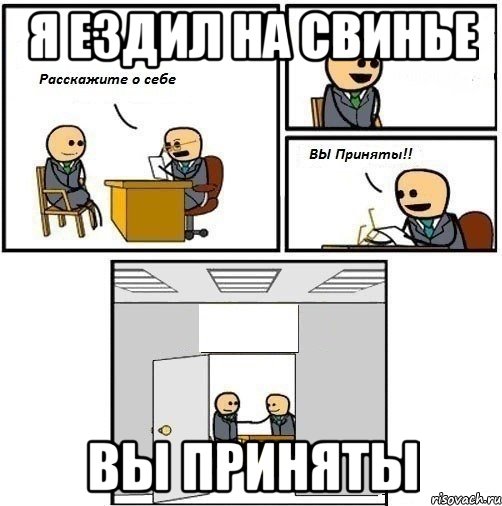 Я ездил на свинье Вы приняты, Комикс  Вы приняты