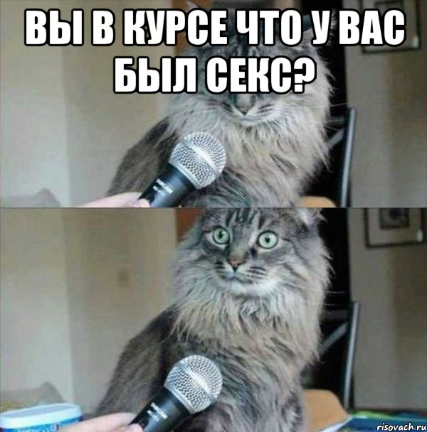 Вы в курсе что у вас был секс? 