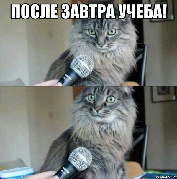 После завтра учеба! 