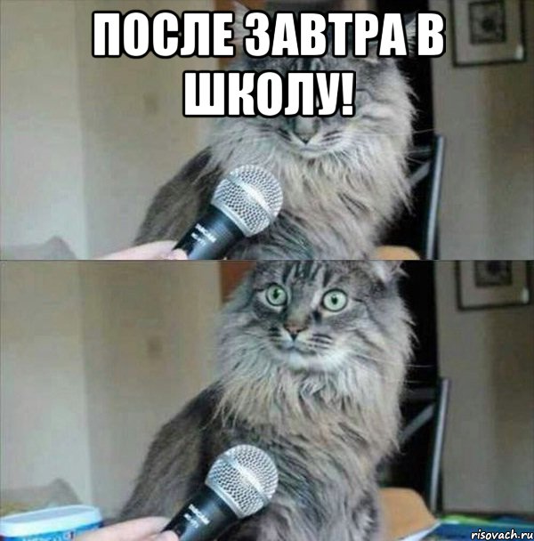 После завтра в школу! 