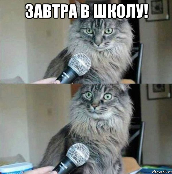 завтра в школу! 