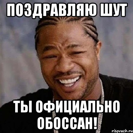 Поздравляю Шут ты официально обоссан!, Мем xzibit