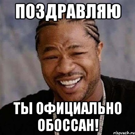 Поздравляю ты официально обоссан!, Мем xzibit