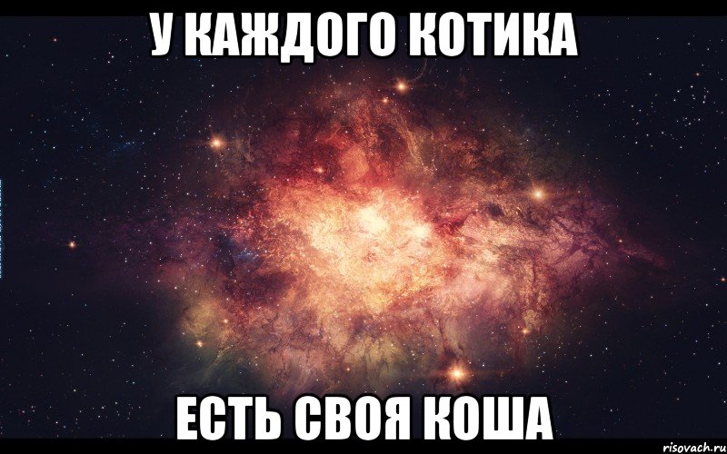 У каждого Котика есть своя Коша