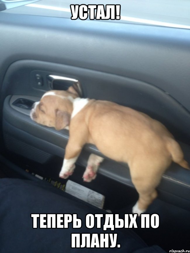 Устал! Теперь отдых по плану.