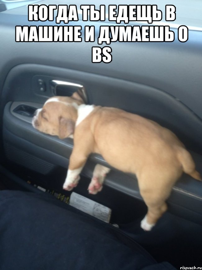 Когда ты едещь в машине и думаешь о BS 