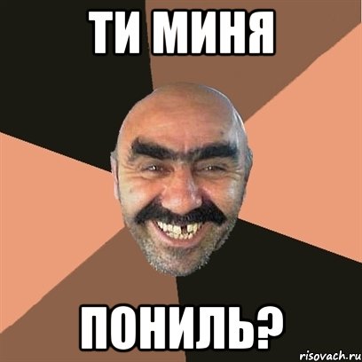 ТИ МИНЯ ПОНИЛЬ?, Мем Я твой дом труба шатал