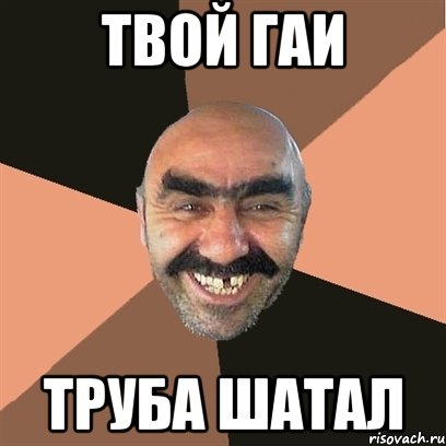 твой гаи труба шатал, Мем Я твой дом труба шатал