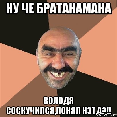 Ну че братанамана Володя соскучился,понял нэт,а?!!, Мем Я твой дом труба шатал