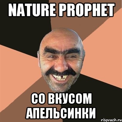 Nature Prophet со вкусом апельсинки, Мем Я твой дом труба шатал