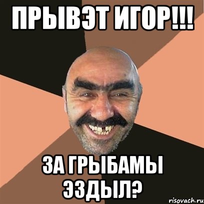 Прывэт Игор!!! За грыбамы эздыл?