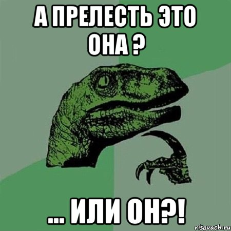 А прелесть это она ? ... Или он?!, Мем Филосораптор