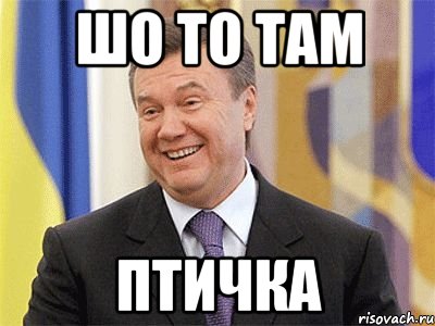 шо то там птичка, Мем Янукович