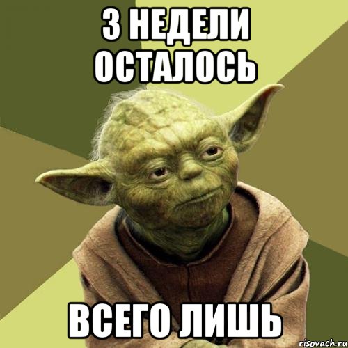 3 недели осталось всего лишь