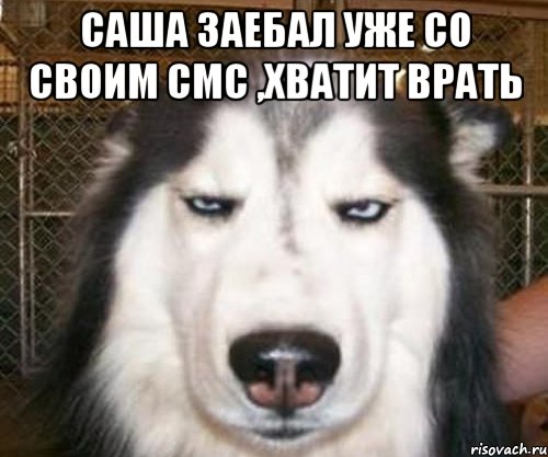 Саша заебал уже со своим смс ,хватит врать , Мем задолбал
