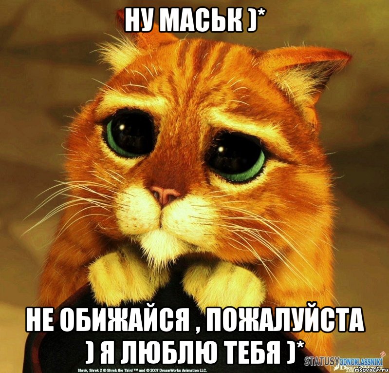 ну маськ )* не обижайся , пожалуйста ) я люблю тебя )*, Мем Котик из Шрека