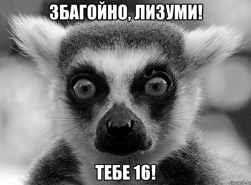 Збагойно, Лизуми! Тебе 16!