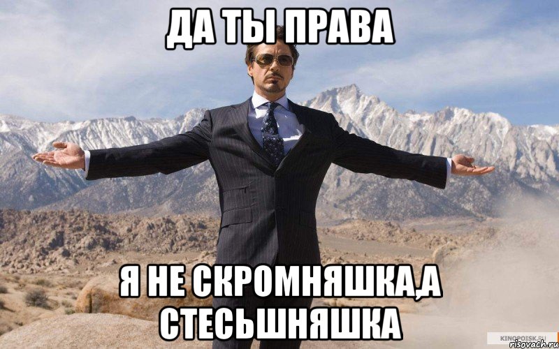 Да ты права Я не скромняшка,а стесьшняшка, Мем железный человек