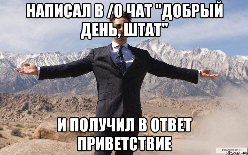 НАПИСАЛ В /O ЧАТ "ДОБРЫЙ ДЕНЬ, ШТАТ" И ПОЛУЧИЛ В ОТВЕТ ПРИВЕТСТВИЕ, Мем железный человек
