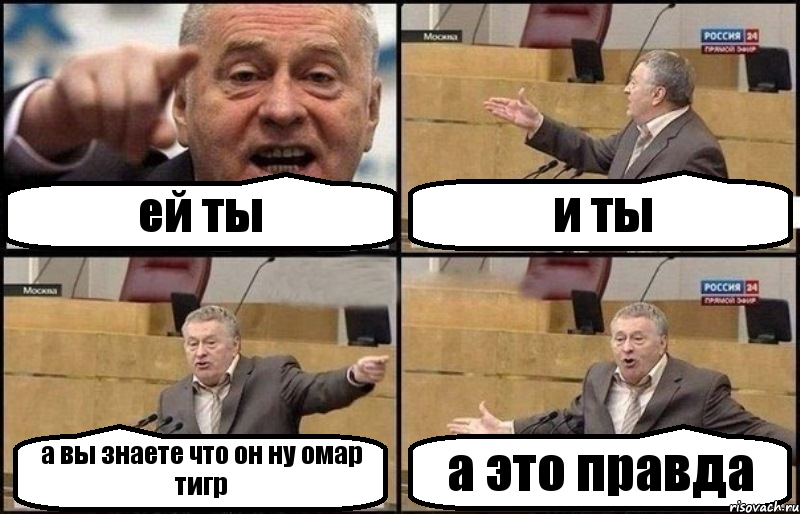 ей ты и ты а вы знаете что он ну омар тигр а это правда, Комикс Жириновский