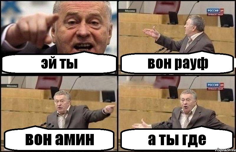 эй ты вон рауф вон амин а ты где, Комикс Жириновский